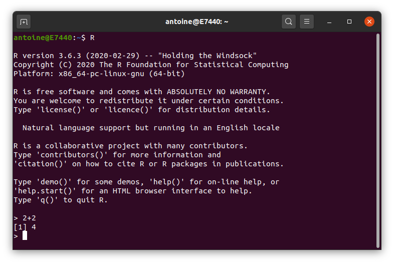 Un terminal R sous Linux